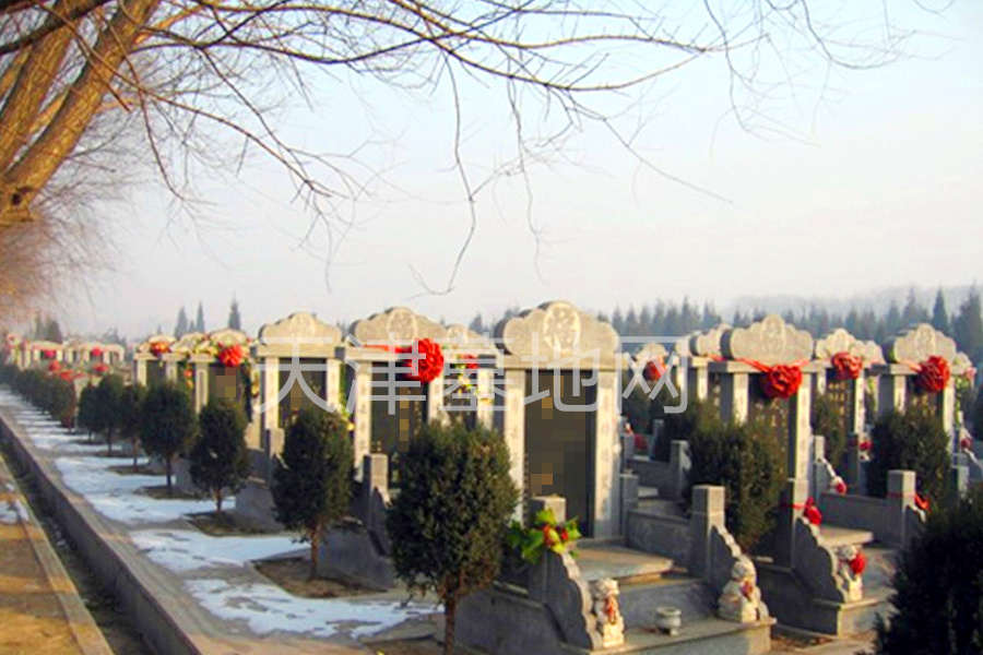 公墓墓区环境