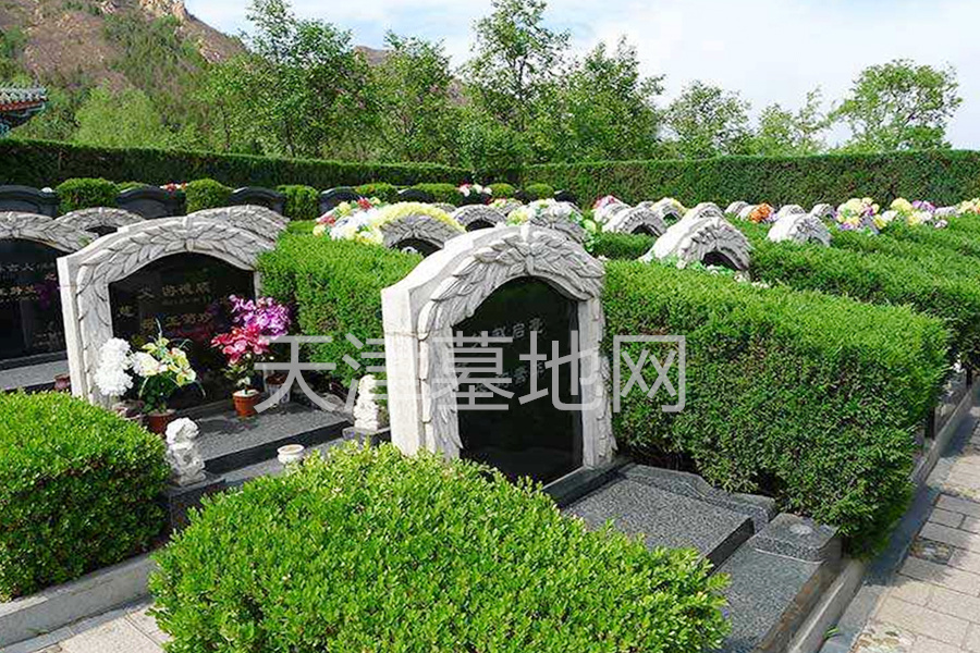 公墓墓区环境