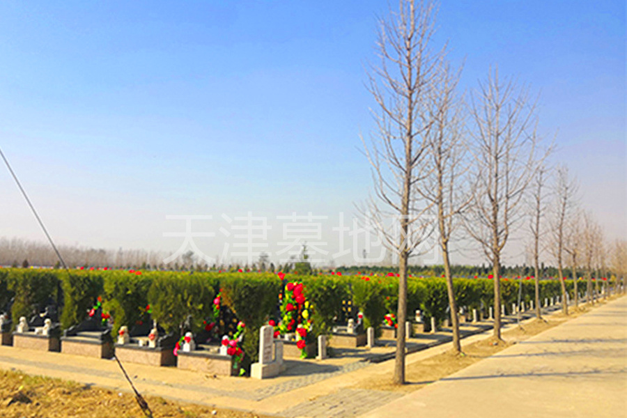 公墓环境