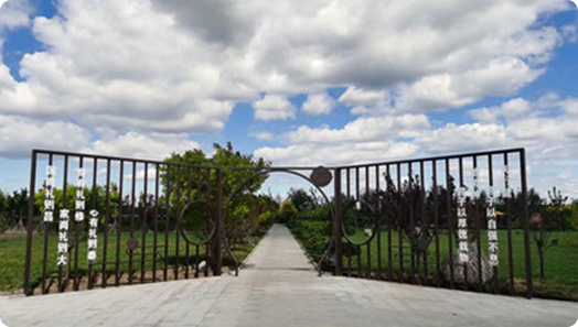 天津居民如何参加天津海葬推荐？附详细报名说明-3