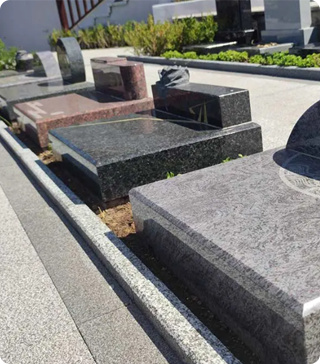 河北霸州兰生园公墓树葬，天津霸州兰生园公墓