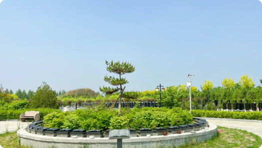 天津东丽区墓地树葬，天津天福陵园微信公众号-2