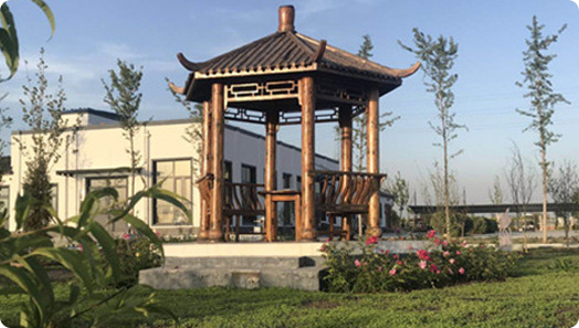 汉沽逸安园树葬，天津逸安园在什么地方