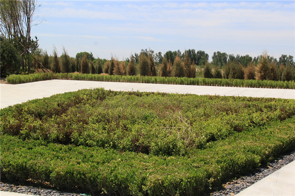 天津东丽区墓地树葬，天津天福陵园微信公众号-1