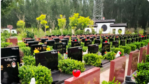 塘沽梦境园公墓在什么地方