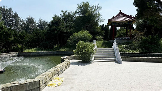 天津海葬地点指南｜如何报名、预约与参加公益活动-2