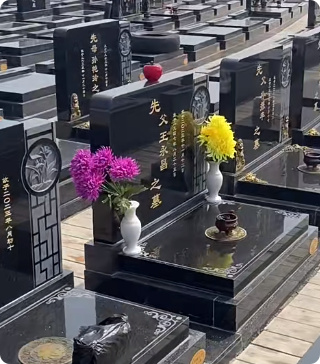 塘沽梦境园公墓树葬