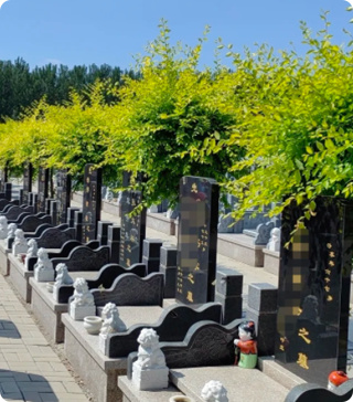 天津兰生园墓地地址在哪里-1