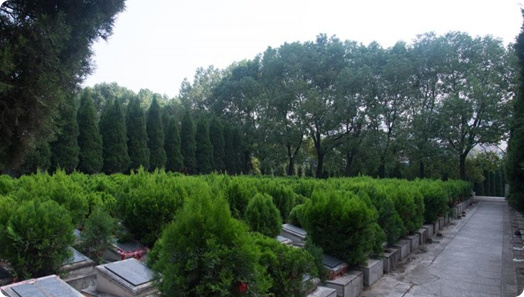 想了解天津海葬推荐？一文看懂办理流程与价格-1