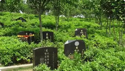天津海葬电话申请流程全攻略｜附联系方式与注意事项