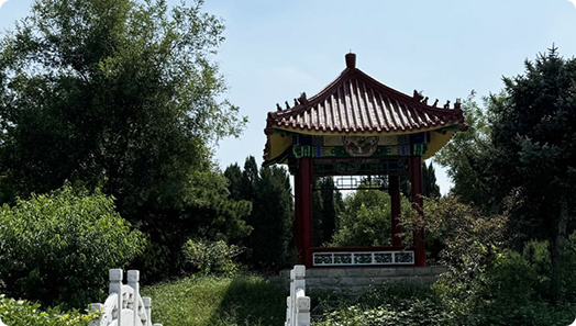 天津津南怡静园公墓,津南区怡静园公墓地址在哪里-2