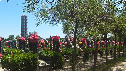 天津海葬海撒服务中心服务电话及预约方式｜附出海时间表-3