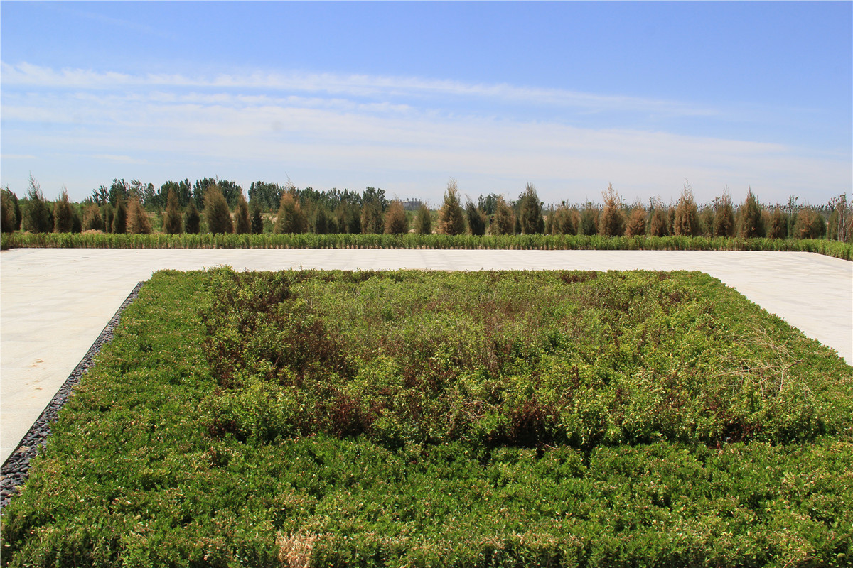 想了解天津官方海葬？一文看懂办理流程与价格-1