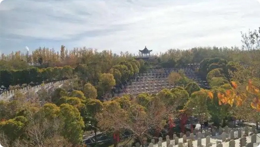 河东区东华林公墓价格一览表，