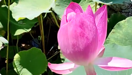 北辰区憩园公墓在什么地方-2