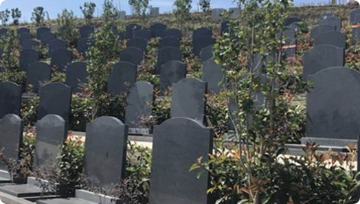 西城寝园在什么地方,天津西城寝园公墓树葬-3