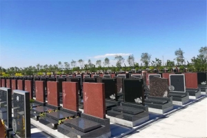 ebc771a81f684500b26b26701cc2e800